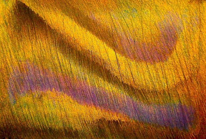 AbstractionExpression 12724