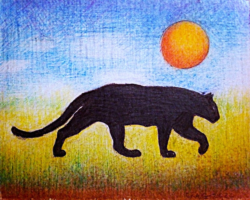Cat Drawing